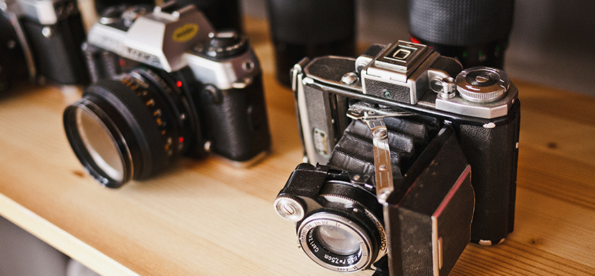 In at risus eget odio